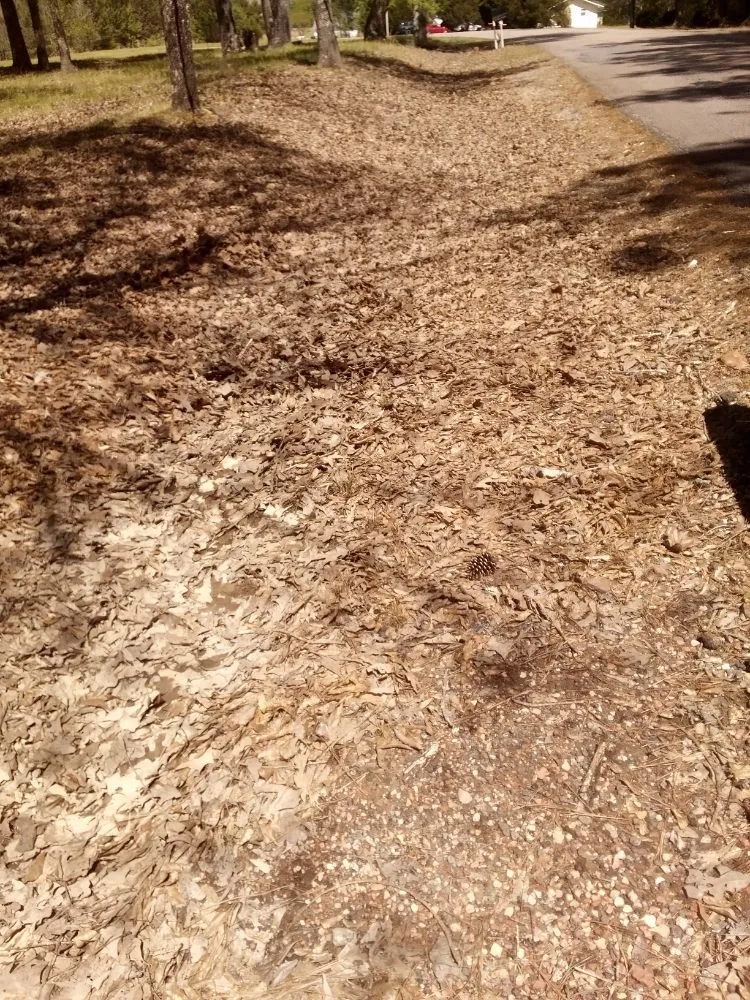 Expert yard maintenance in Graysville, AL - Done Right Lawns