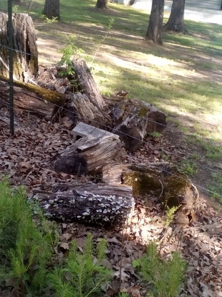 Reliable landscaping services experts serving Graysville, AL - Done Right Lawns