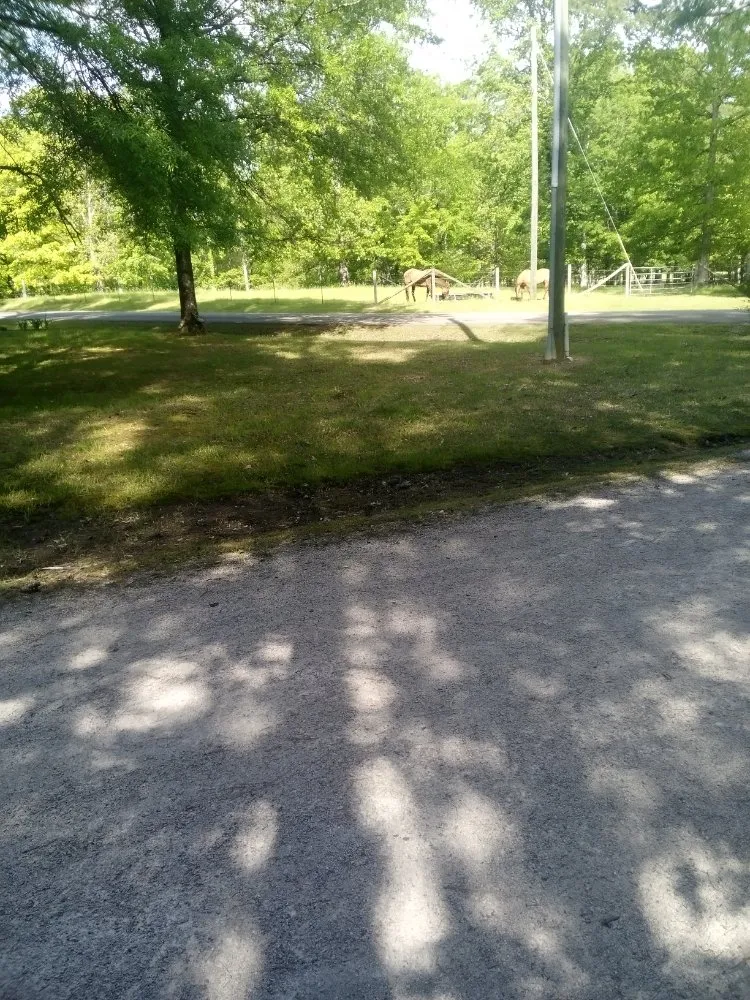 Top-rated lawn mowing service in Graysville, AL by Done Right Lawns