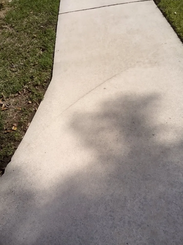 Custom yard cleanup service experts serving Graysville, AL - Done Right Lawns