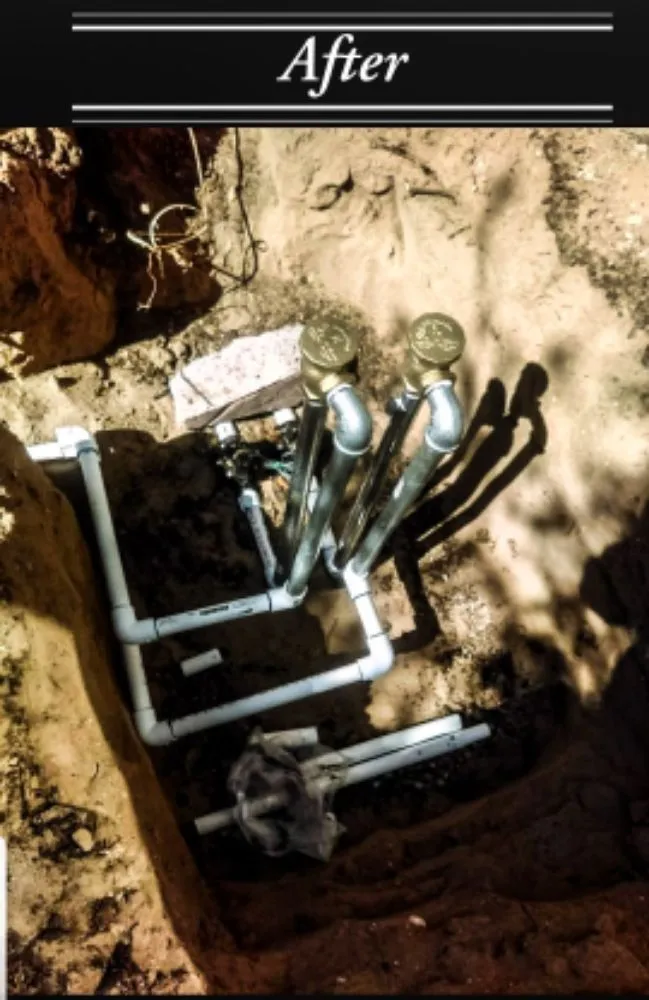 Custom yard cleanup service experts serving Rio Rancho, NM - Done Right Maintenance