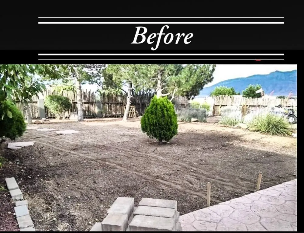 Professional yard cleanup service experts serving Rio Rancho, NM - Done Right Maintenance