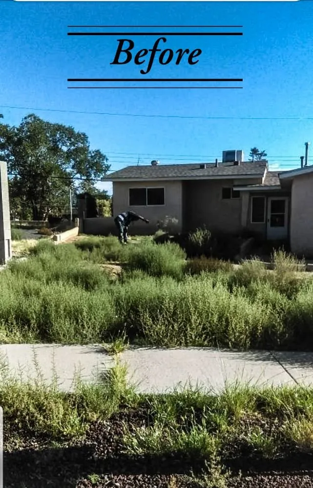 Custom landscape design in Rio Rancho, NM by Done Right Maintenance