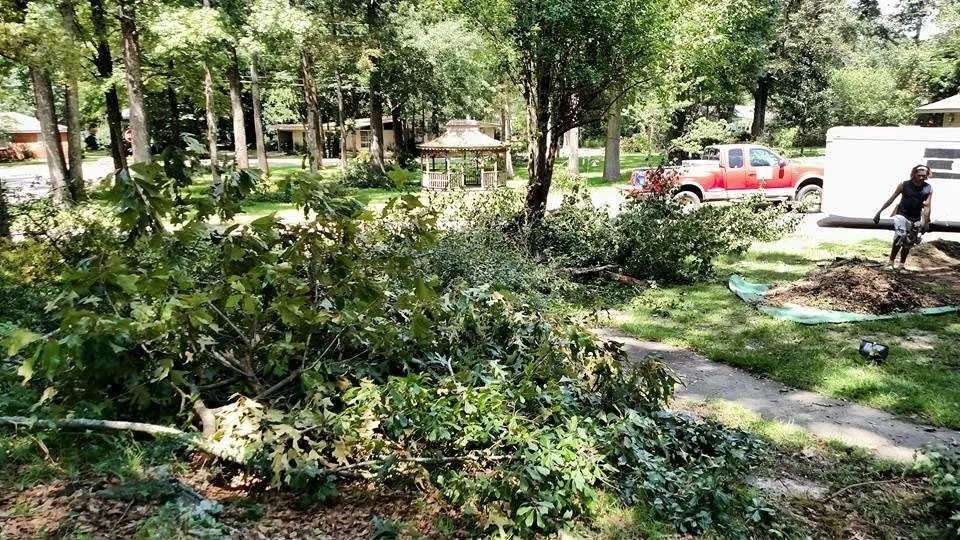 Trusted landscape design for year-round maintenance across Geneva, AL - Done Right Pool and Landscaping