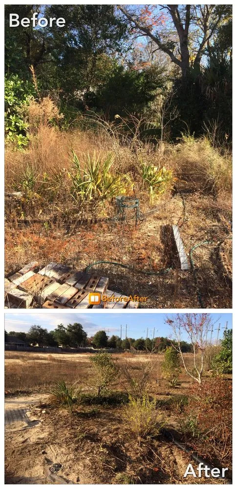 Reliable residential landscaping for homes in Geneva, AL by Done Right Pool and Landscaping