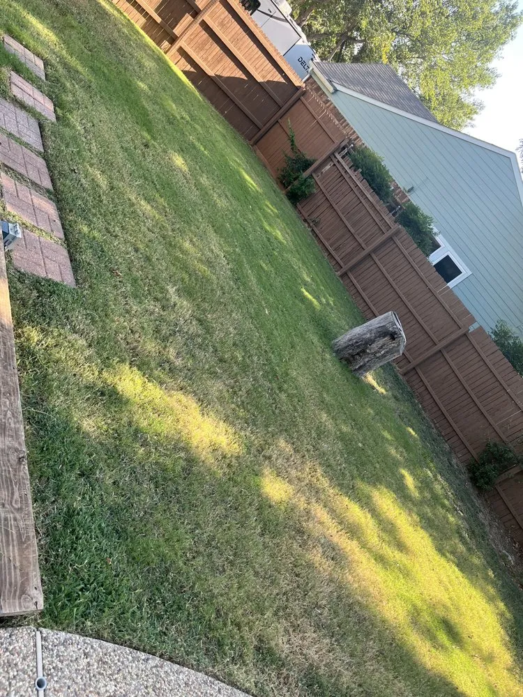 Trusted landscape design in Arlington, TX by Done Right Service Pros