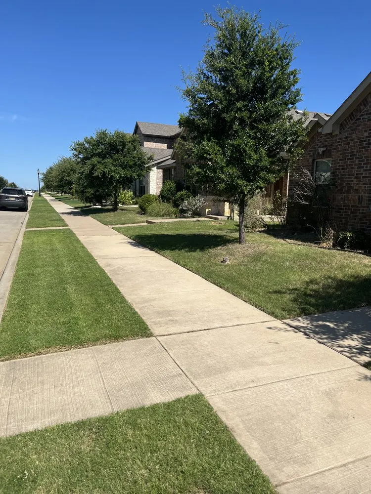 Professional yard maintenance in Arlington, TX - Done Right Service Pros