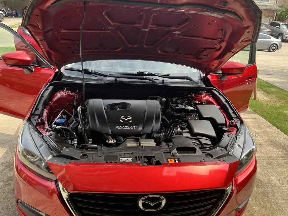 Local yard cleanup service for year-round maintenance across Arlington, TX - Done Right Service Pros