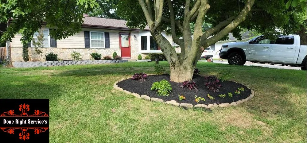 Professional outdoor landscaping in Scottsville, KY by Done Right Service's