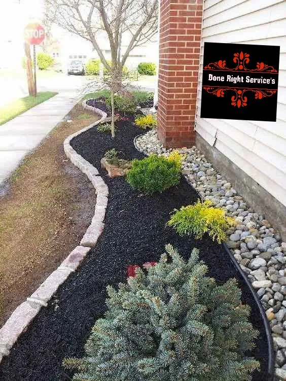 Expert yard cleanup service in Scottsville, KY by Done Right Service's