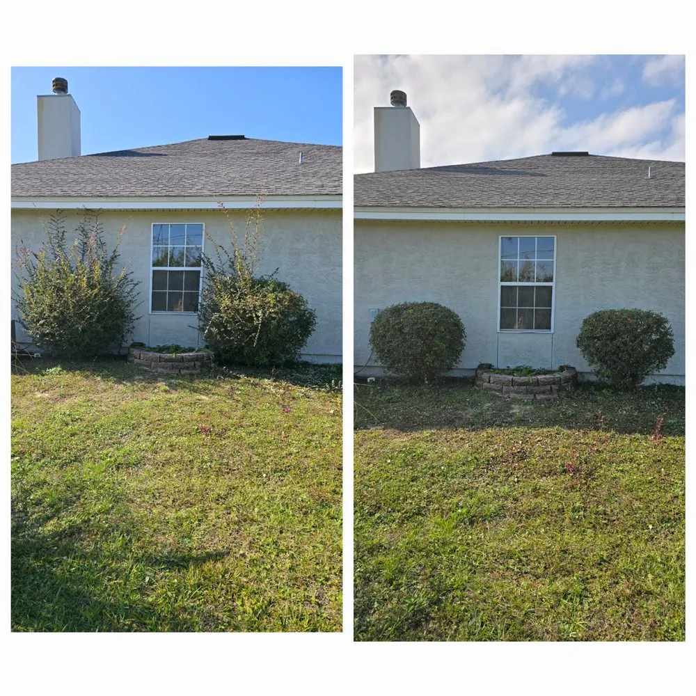 Affordable yard maintenance for beautiful yards in Panama City, FL by Done Rite Lawn Maintenance