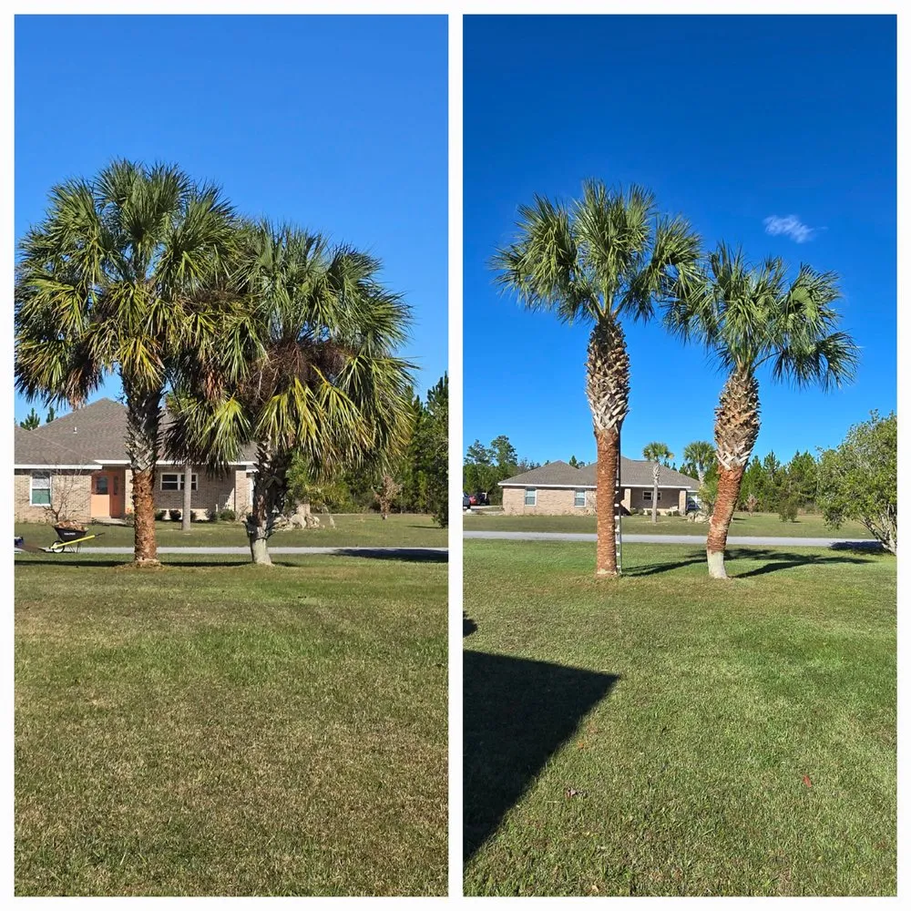 Top-rated yard cleanup service in Panama City, FL - Done Rite Lawn Maintenance