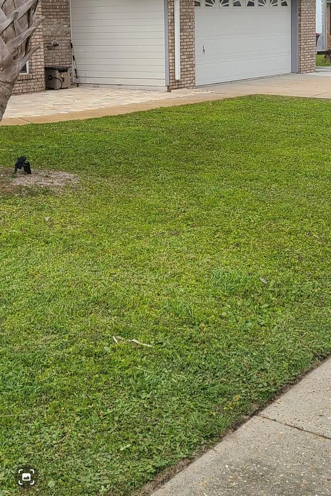 Custom landscape installation experts serving Panama City, FL - Done Rite Lawn Maintenance