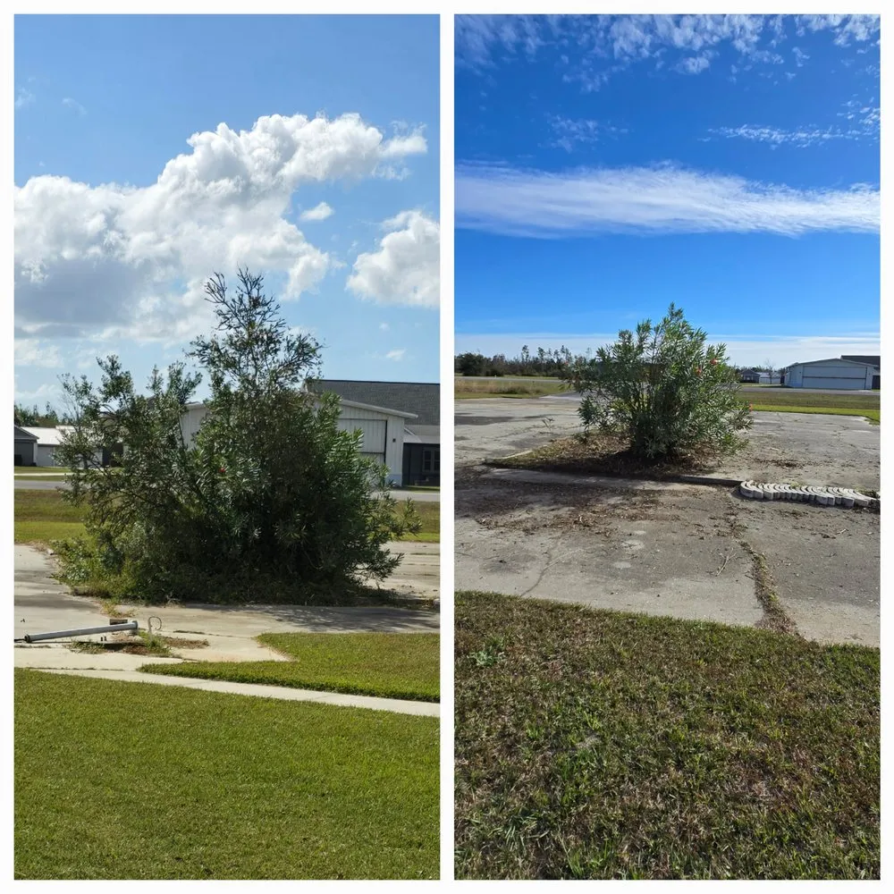 Custom yard maintenance experts serving Panama City, FL - Done Rite Lawn Maintenance