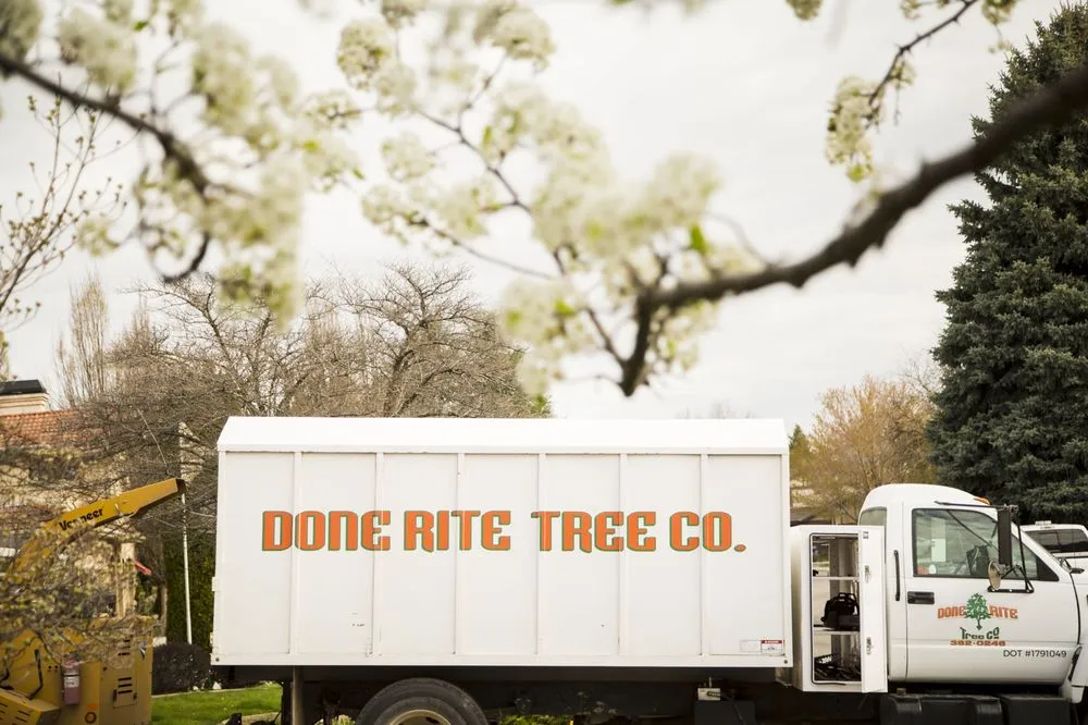 Trusted garden landscaping for year-round maintenance in Meridian, ID by Done-Rite Tree Company