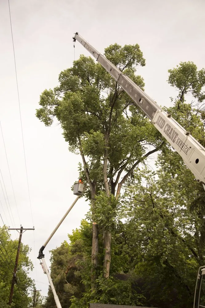 Top-rated landscape installation with custom design in Meridian, ID by Done-Rite Tree Company