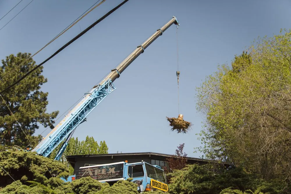 Custom landscape design near you across Meridian, ID - Done-Rite Tree Company