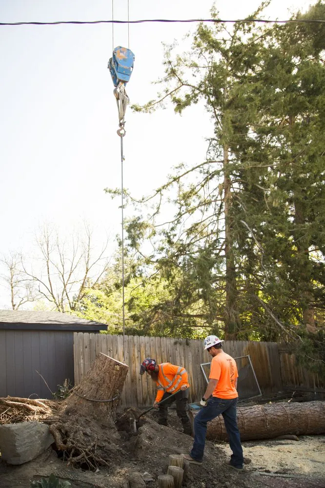 Local landscape installation for beautiful yards in Meridian, ID by Done-Rite Tree Company