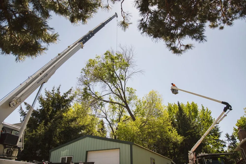 Custom landscaping services experts serving Meridian, ID - Done-Rite Tree Company