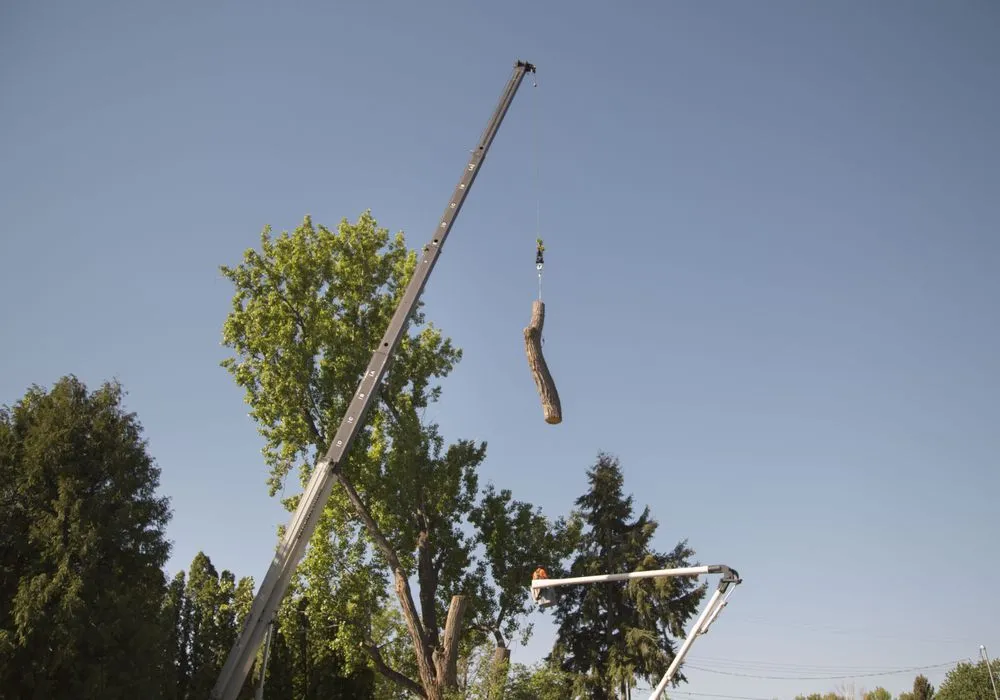Expert garden landscaping experts serving Meridian, ID - Done-Rite Tree Company