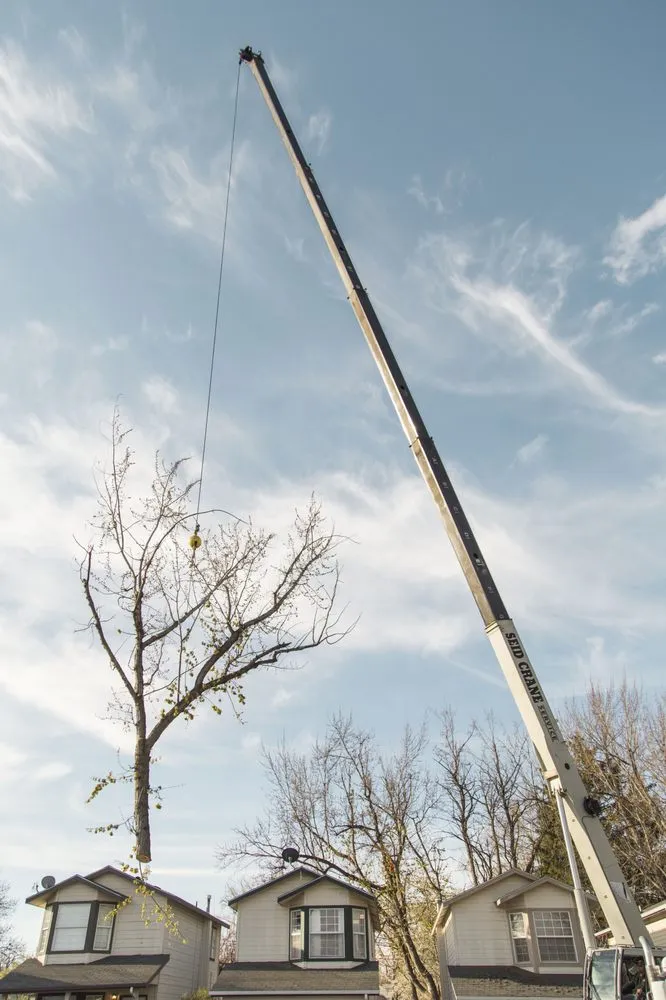 Reliable garden landscaping in Meridian, ID - Done-Rite Tree Company