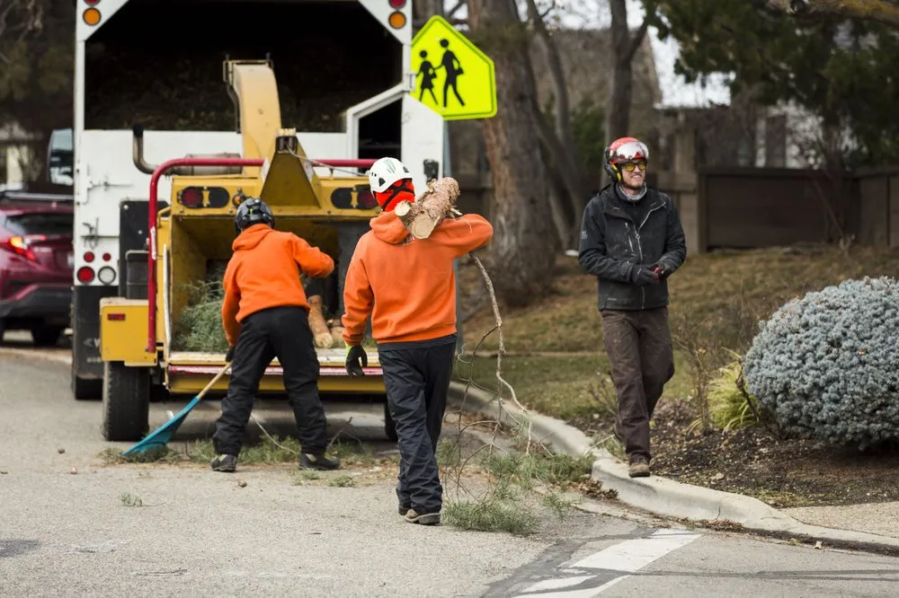 Expert outdoor landscaping experts serving Meridian, ID - Done-Rite Tree Company