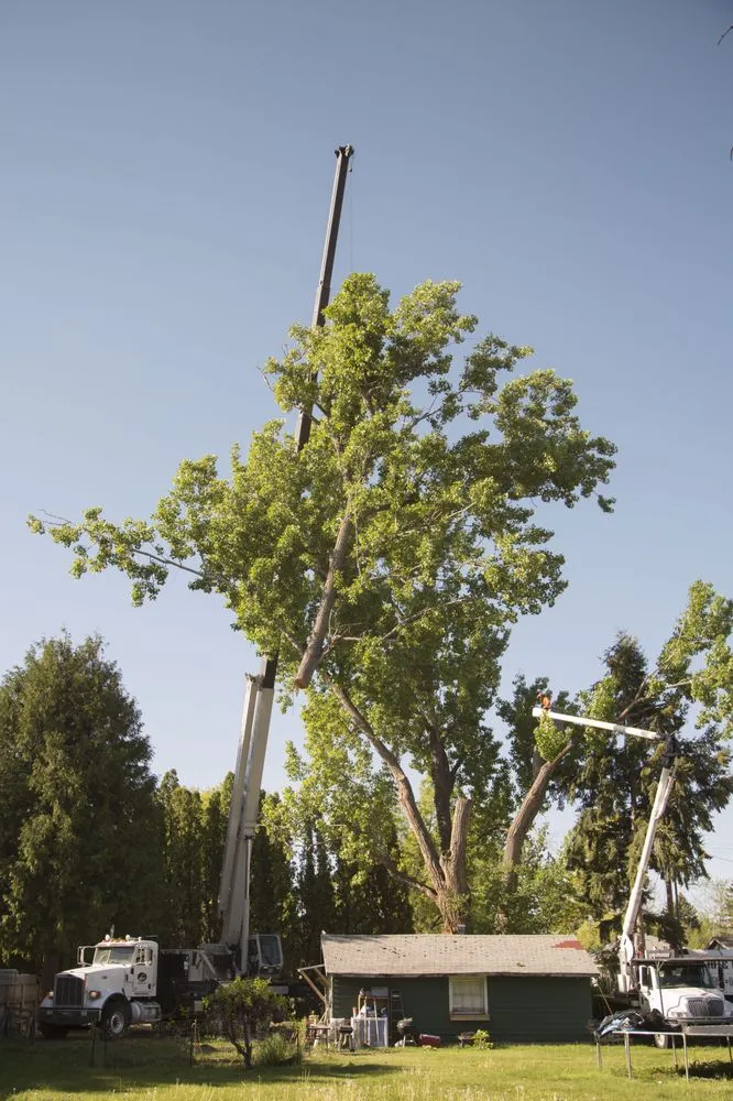 Reliable garden landscaping for year-round maintenance in Meridian, ID by Done-Rite Tree Company