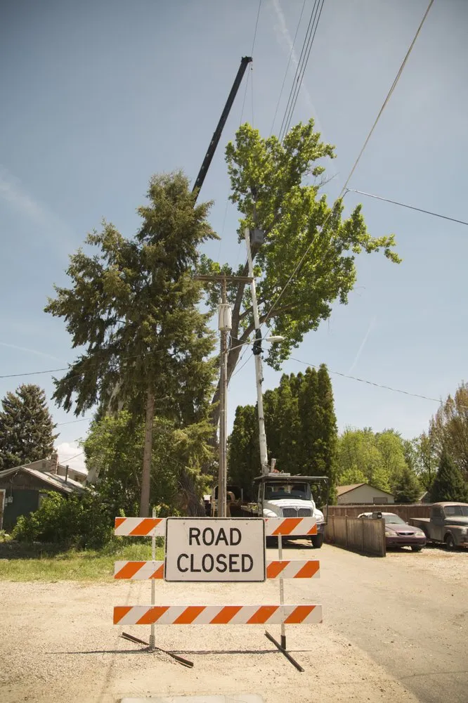 Local yard cleanup service near you across Meridian, ID - Done-Rite Tree Company