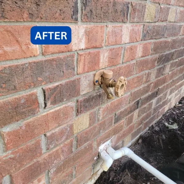 Local yard cleanup service experts serving Weber City, VA - Done-Rite