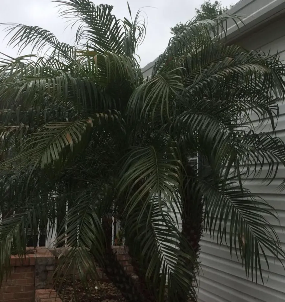 Reliable garden landscaping for beautiful yards in Flagler Beach, FL by Done To Perfection Lawn Service