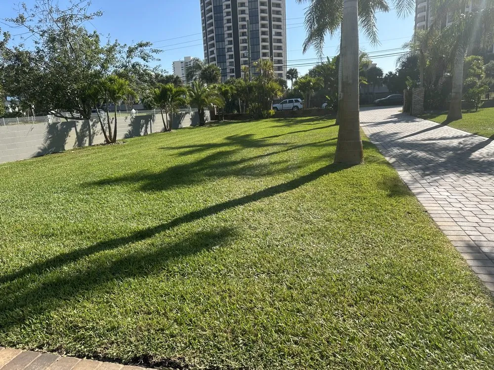 Top-rated yard cleanup service for year-round maintenance across Flagler Beach, FL - Done To Perfection Lawn Service