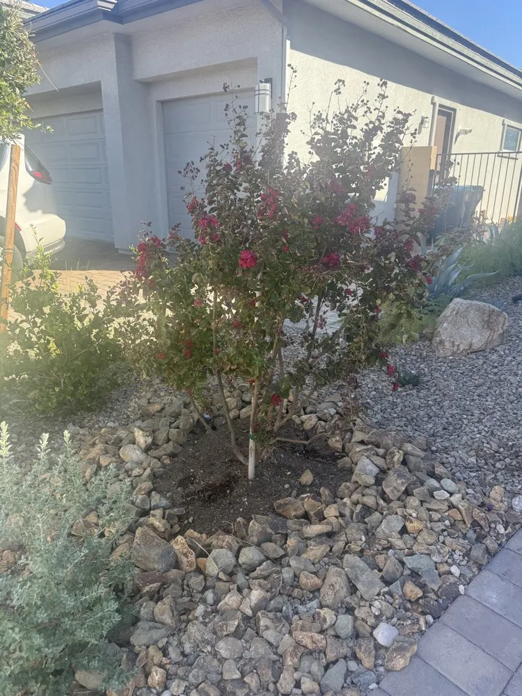 Top-rated outdoor landscaping in Las Vegas, NV by Done Wright Landscapes