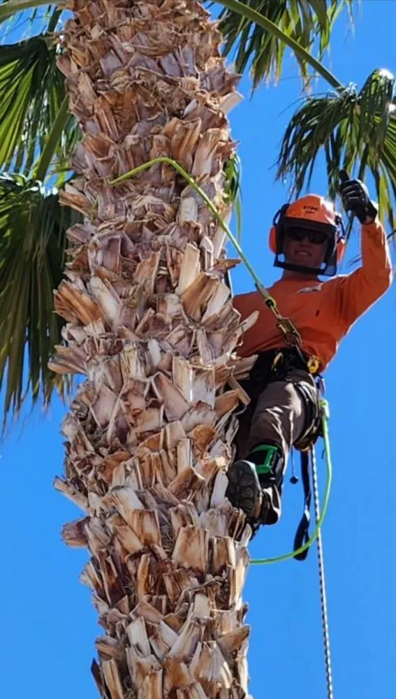 Expert garden landscaping for beautiful yards across Las Vegas, NV - Done Wright Landscapes