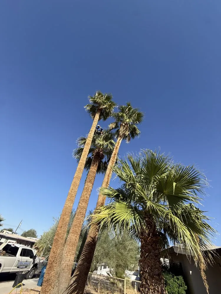 Custom outdoor landscaping experts serving Las Vegas, NV - Done Wright Landscapes