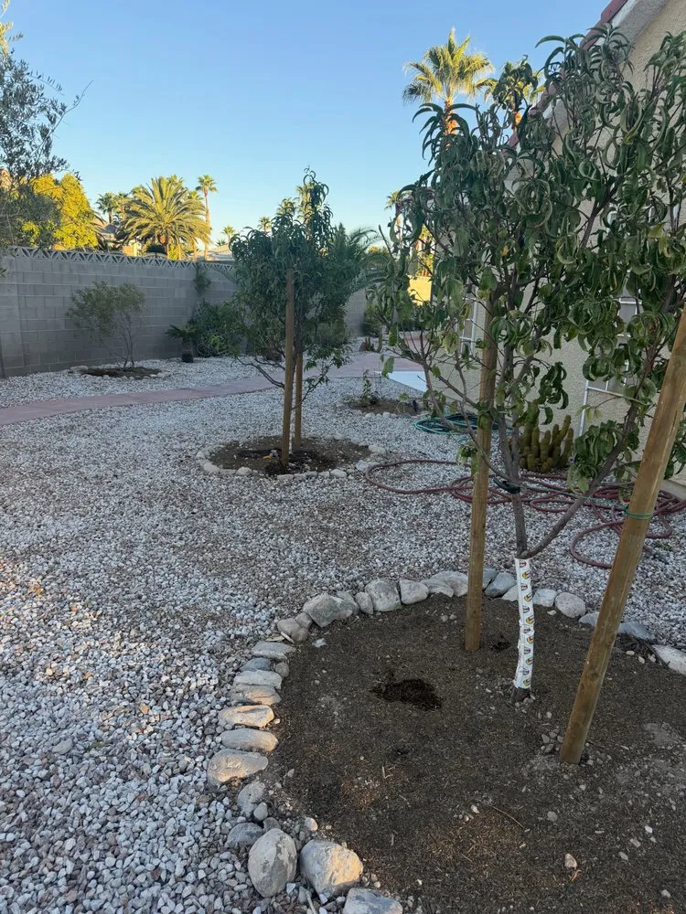 Trusted outdoor landscaping experts serving Las Vegas, NV - Done Wright Landscapes