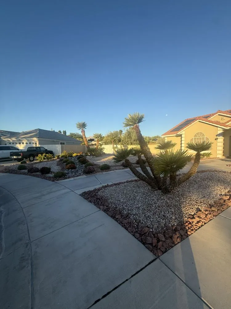 Professional landscaping services in Las Vegas, NV by Done Wright Landscapes
