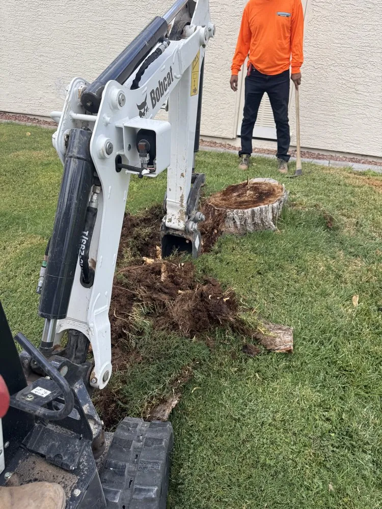 Top-rated outdoor landscaping experts serving Las Vegas, NV - Done Wright Landscapes