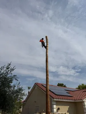 Done Wright Landscapes Logo