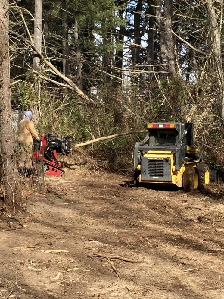 Custom landscaping services in Haddon Heights, NJ by Done Wright Landscaping