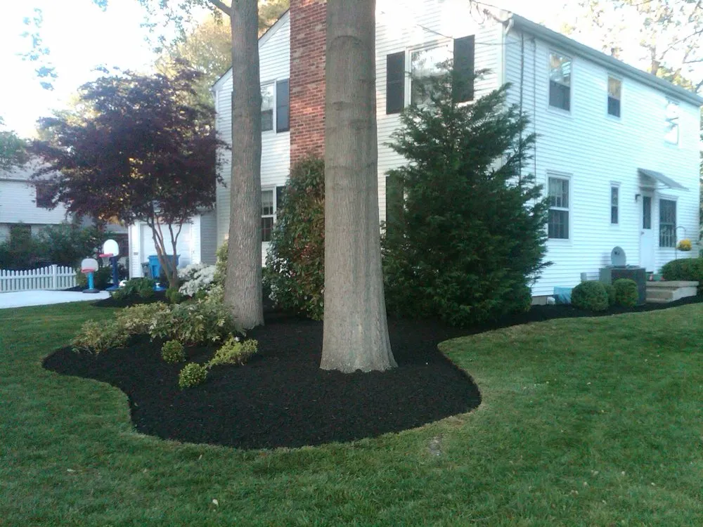 Trusted yard cleanup service in Haddon Heights, NJ by Done Wright Landscaping
