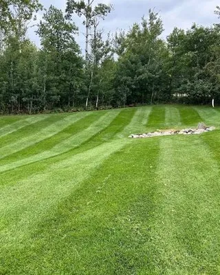 Done Wright Lawn Care Logo