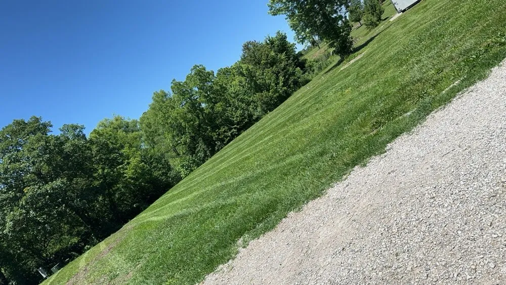 Affordable yard cleanup service in Peculiar, MO by Done Wright