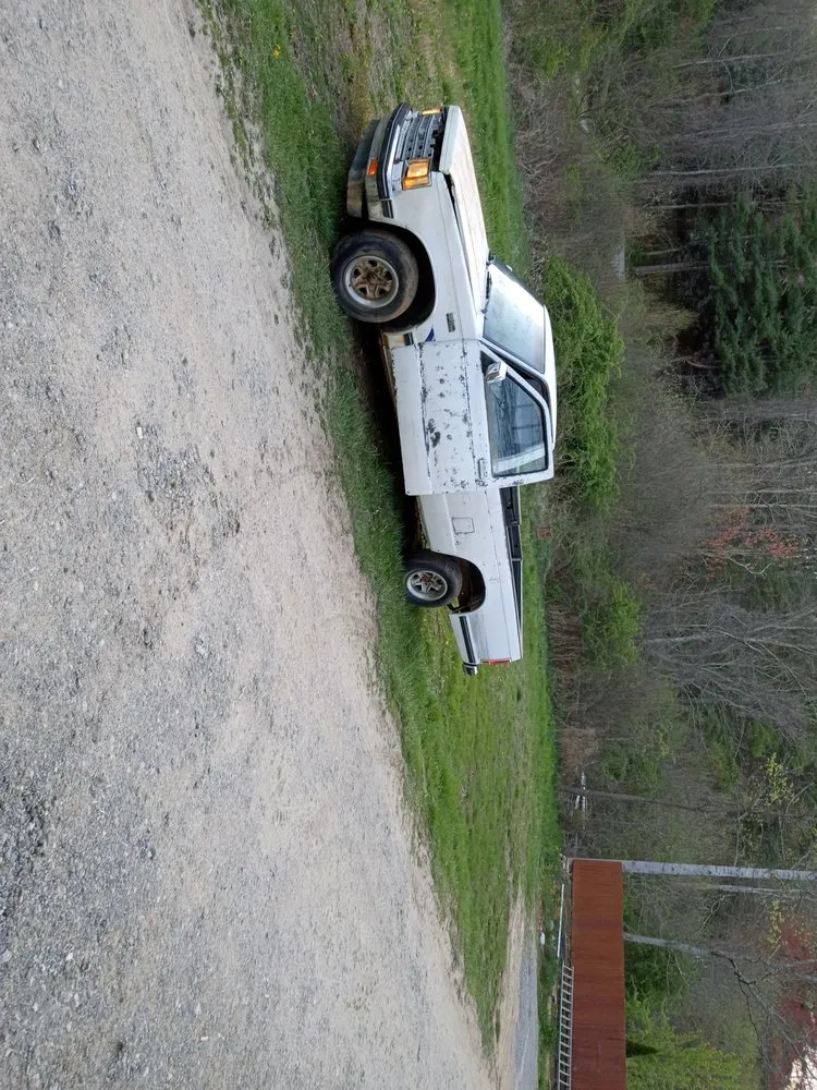 Trusted landscaping services for outdoor upgrades across Biltmore Forest, NC - Donell Affordable Lawn Care Service