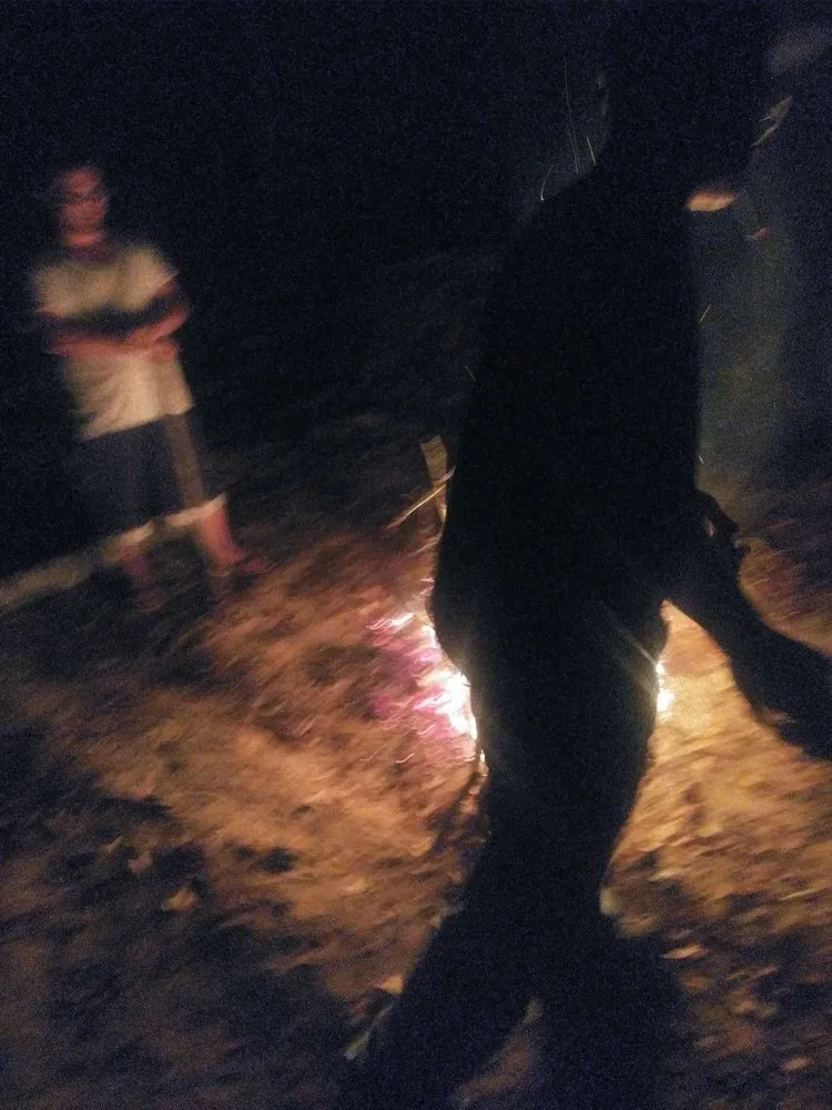 Professional landscaping services in Morganton, NC - Doni's do it all Services