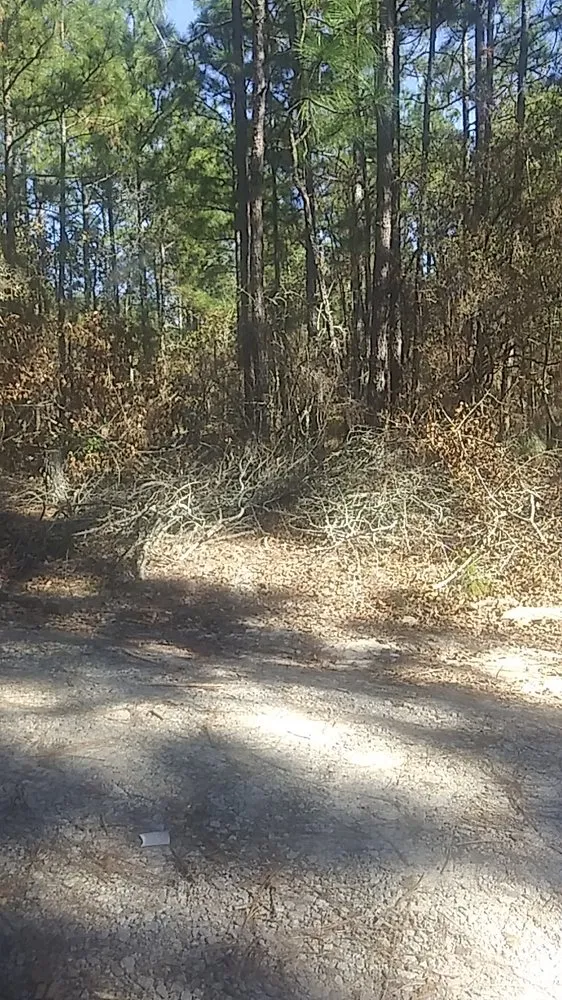 Professional garden landscaping near you across Morganton, NC - Doni's do it all Services