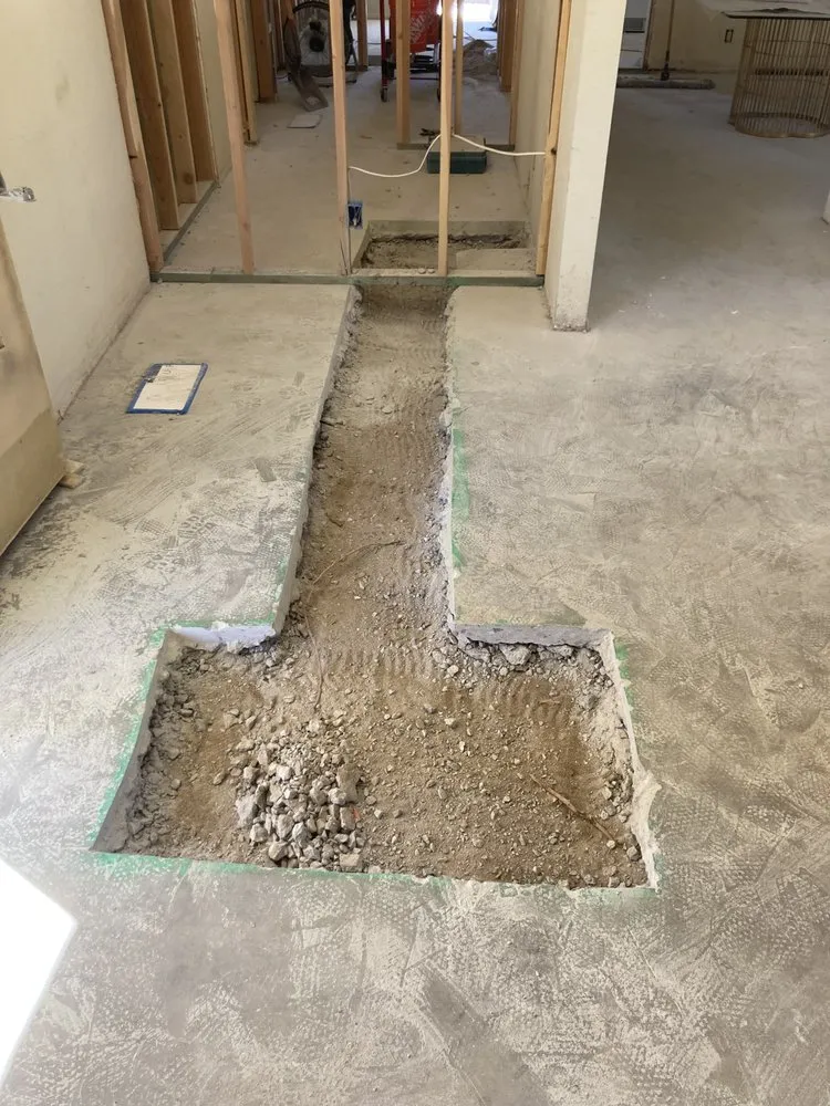 Affordable yard cleanup service in Palm Springs, CA - Donis Landscape and Maintenance