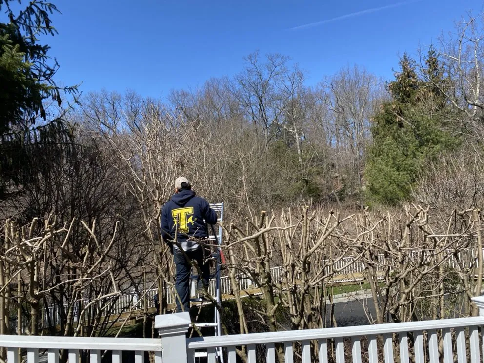 Professional landscaping services with custom design in Bedford, NY by Donis Landscaping