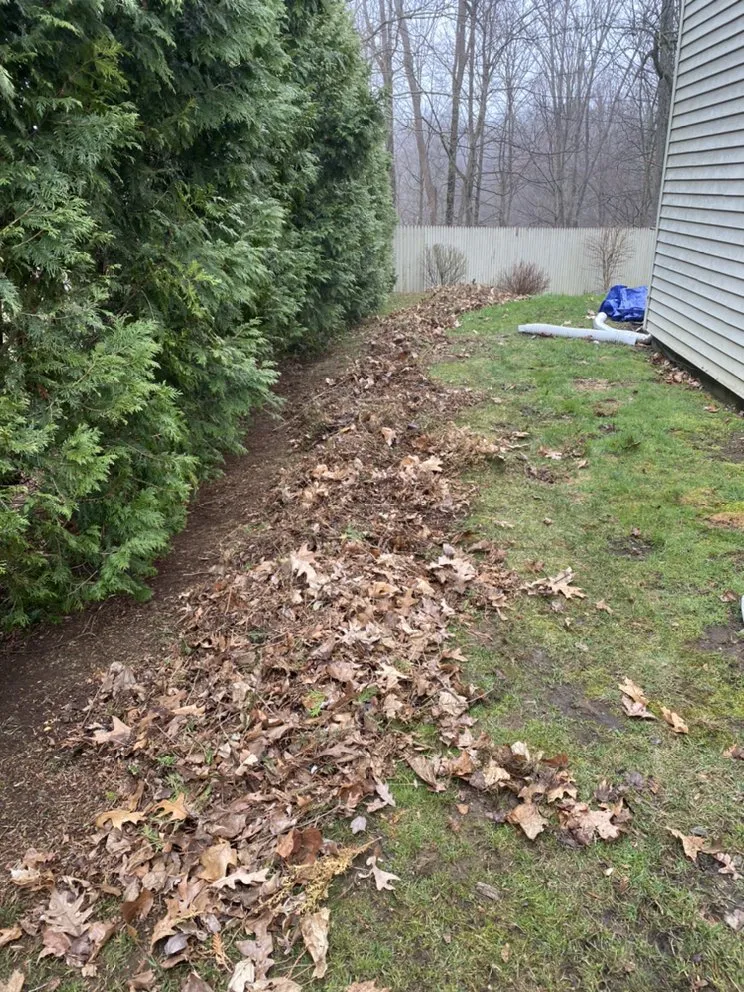 Trusted yard maintenance for outdoor upgrades across Bedford, NY - Donis Landscaping