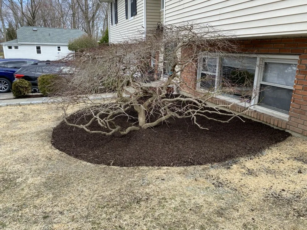 Trusted lawn care service for homes across Bedford, NY - Donis Landscaping