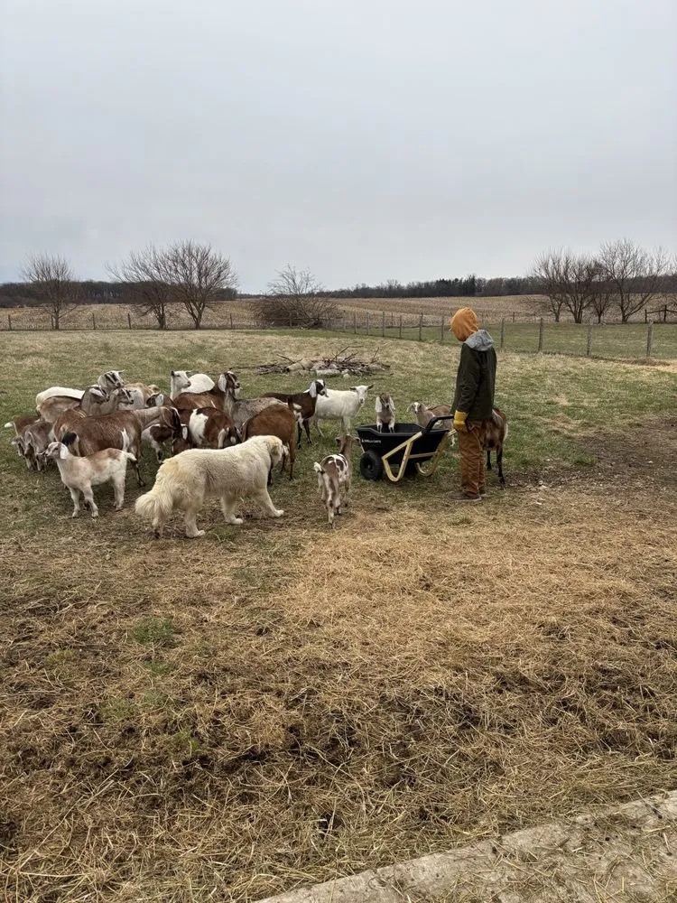 Custom outdoor landscaping for beautiful yards in Elkhorn, WI by Donley Seasonal Maintenance
